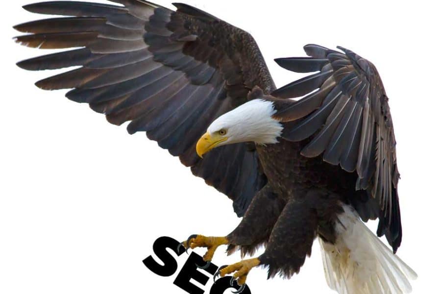 SEO Agency in Melbourne