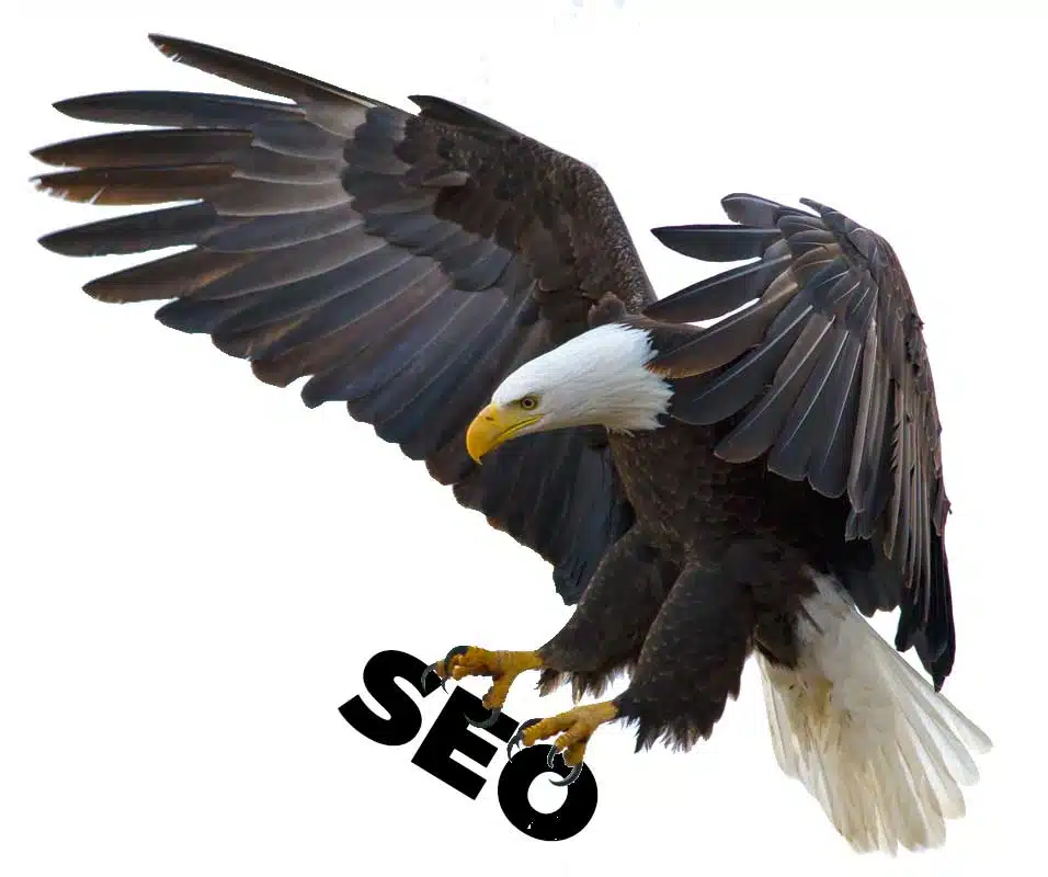 Proven Strategies to Enhance Your SEO Performance