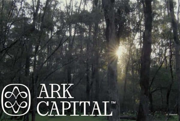 Real Estate Debt Funds